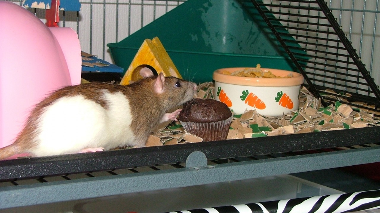 dscf6348.jpg