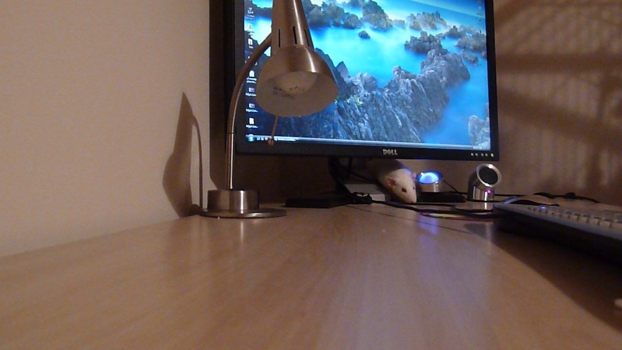 P1000885.JPG