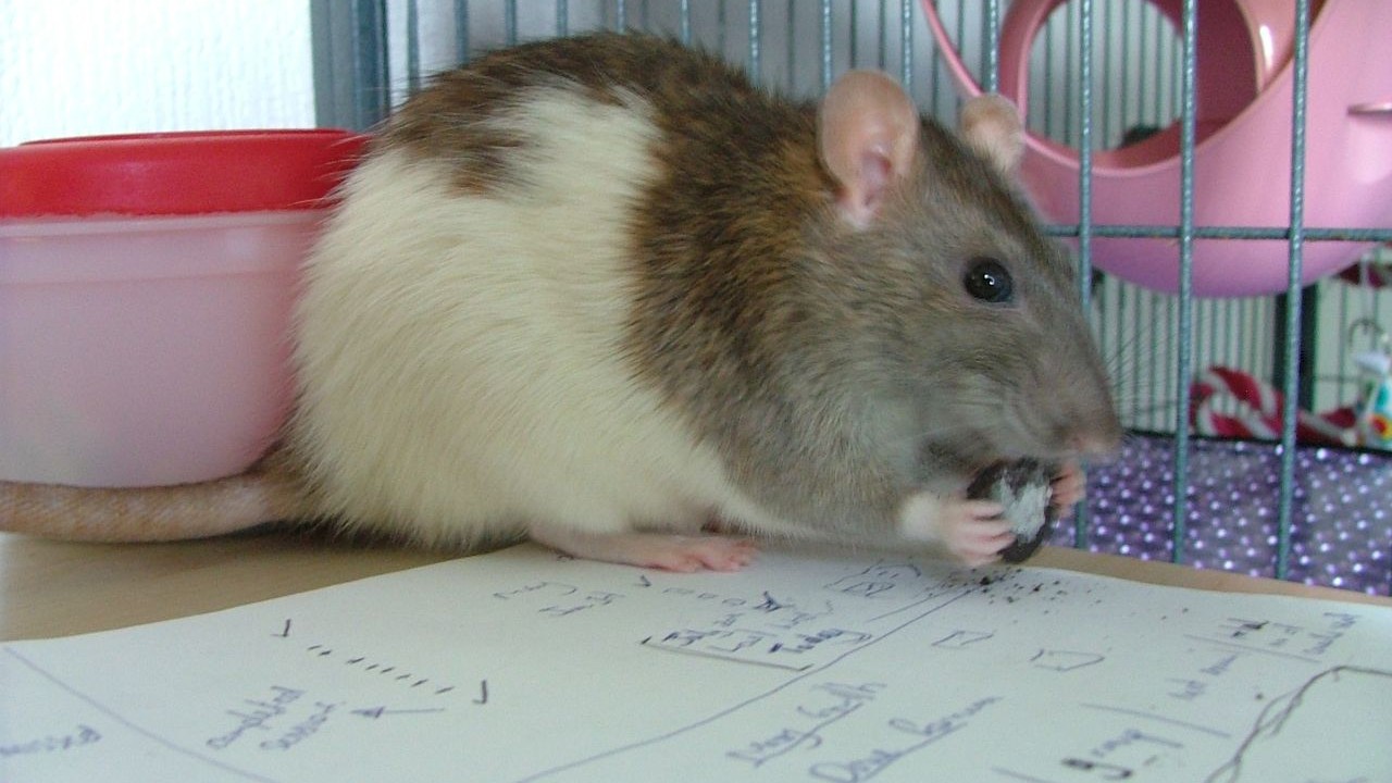DSCF6629.JPG