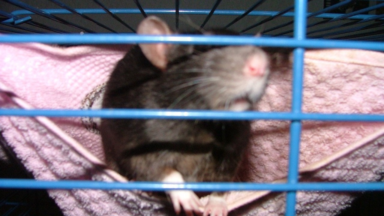 DSCF3888.JPG