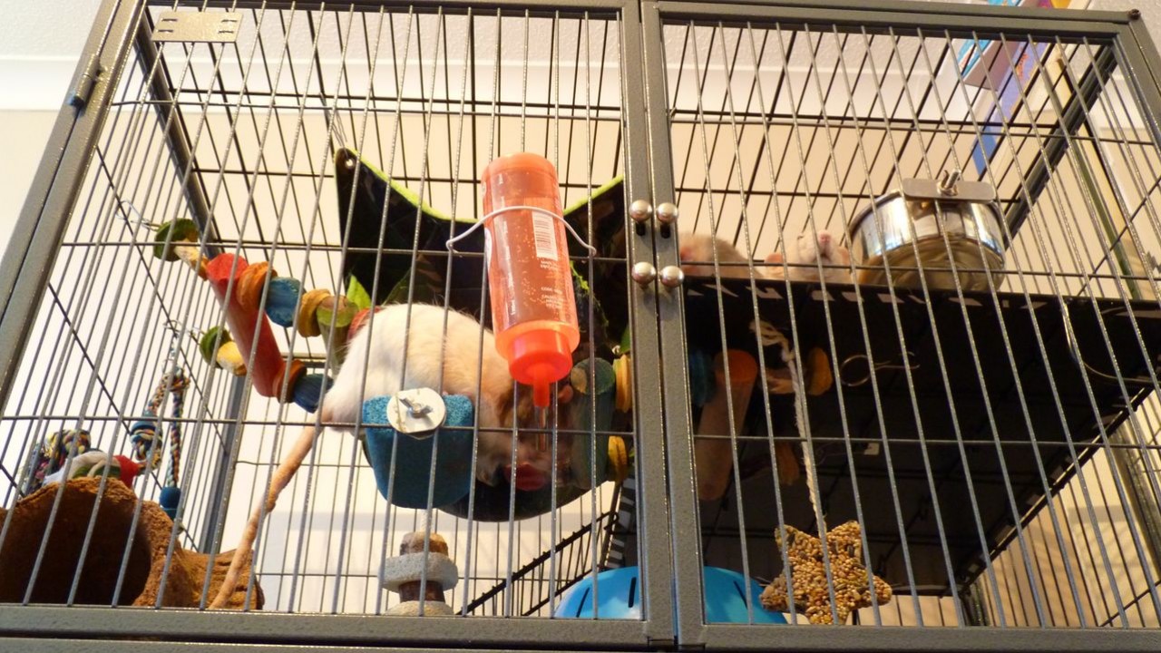 P1000353.JPG