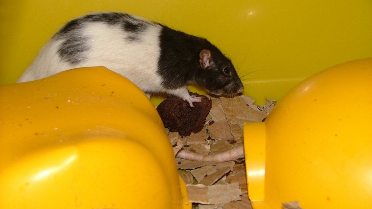 DSCF4273.JPG