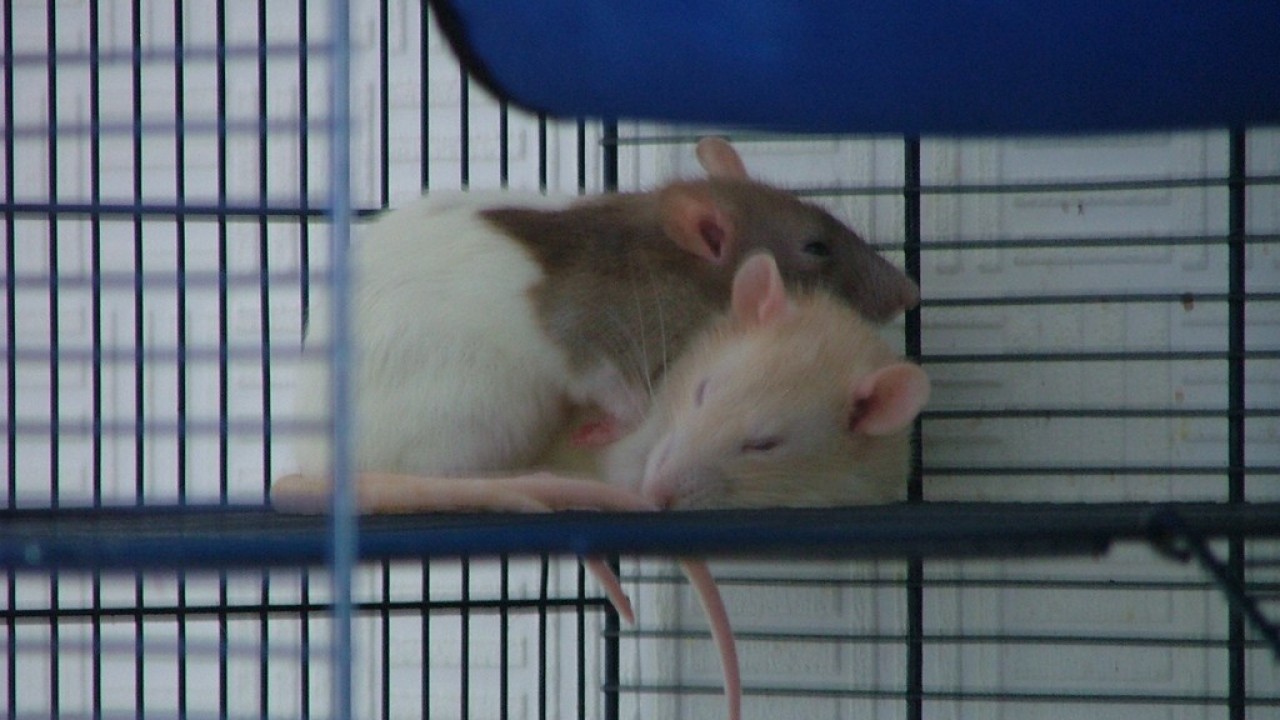 DSCF2143.JPG