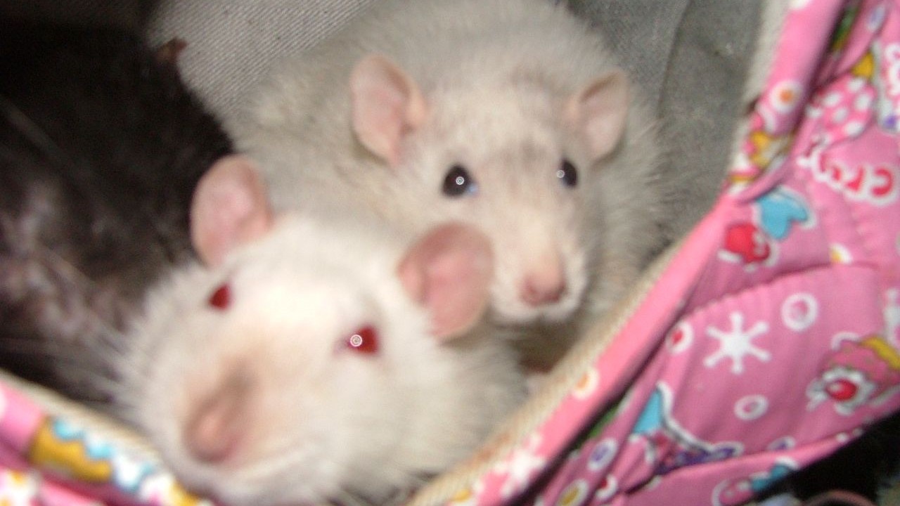DSCF5676.JPG