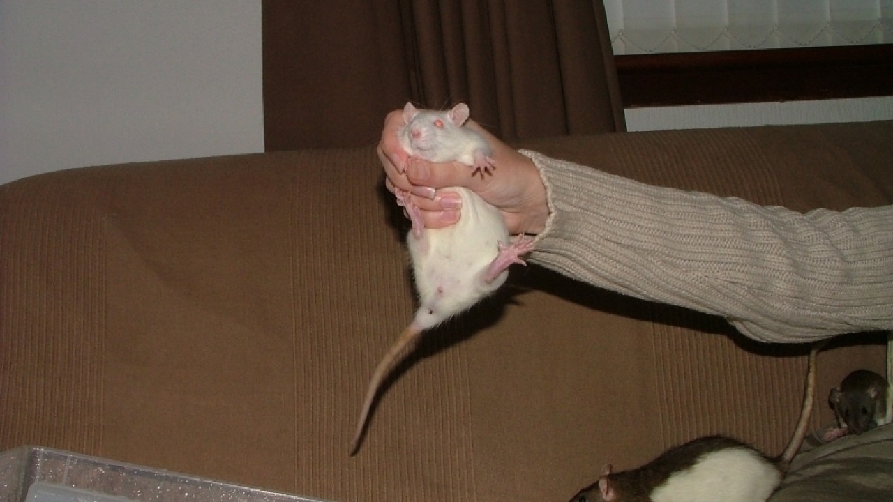 dscf6665.jpg