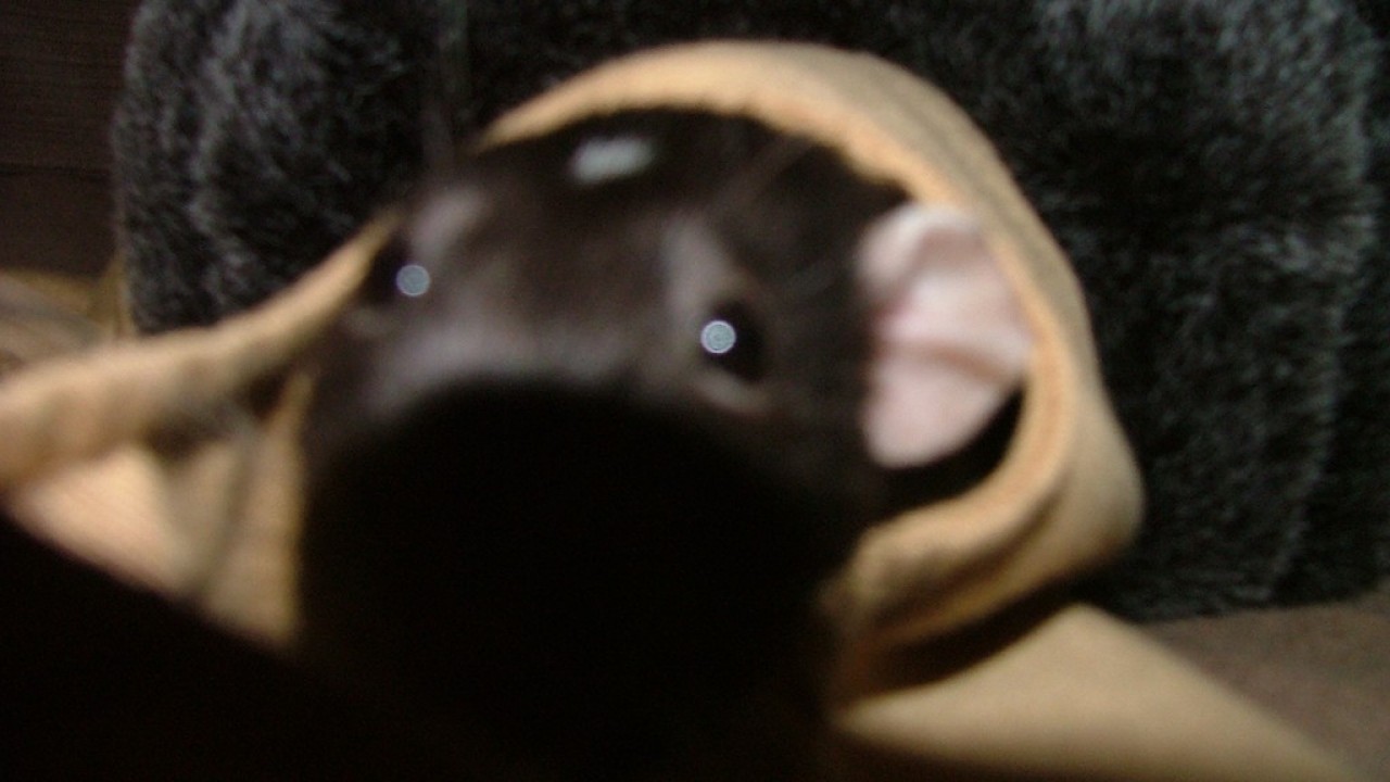 DSCF4749.JPG