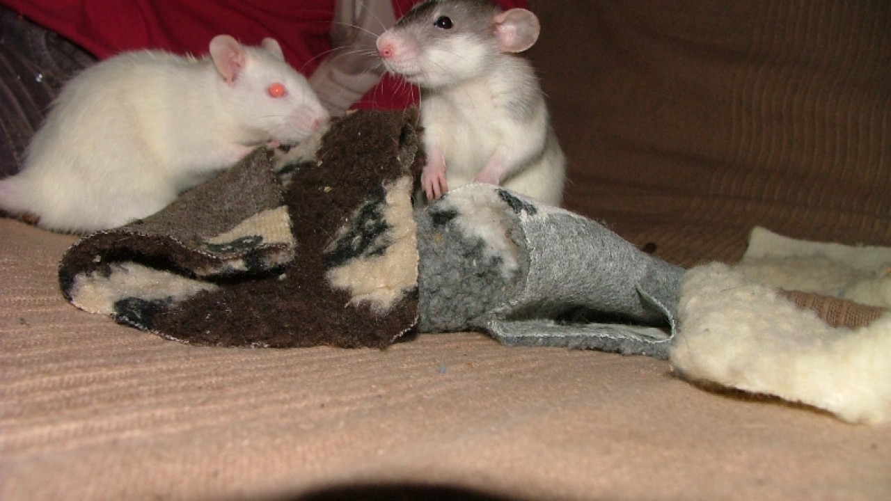 dscf6643.jpg