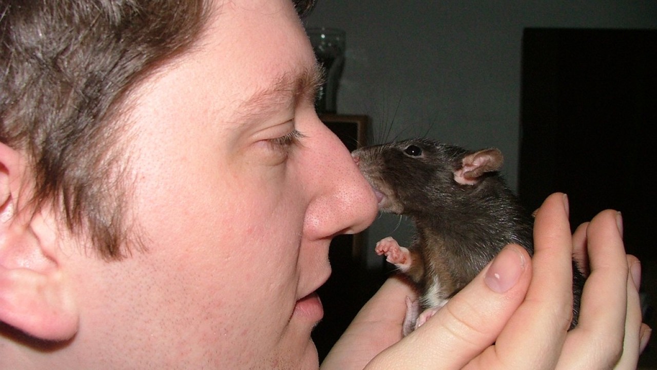 DSCF3891.JPG