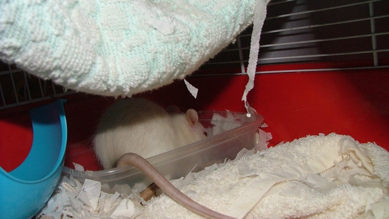 DSCF3867.JPG