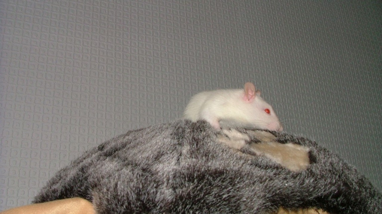 DSCF3935.JPG