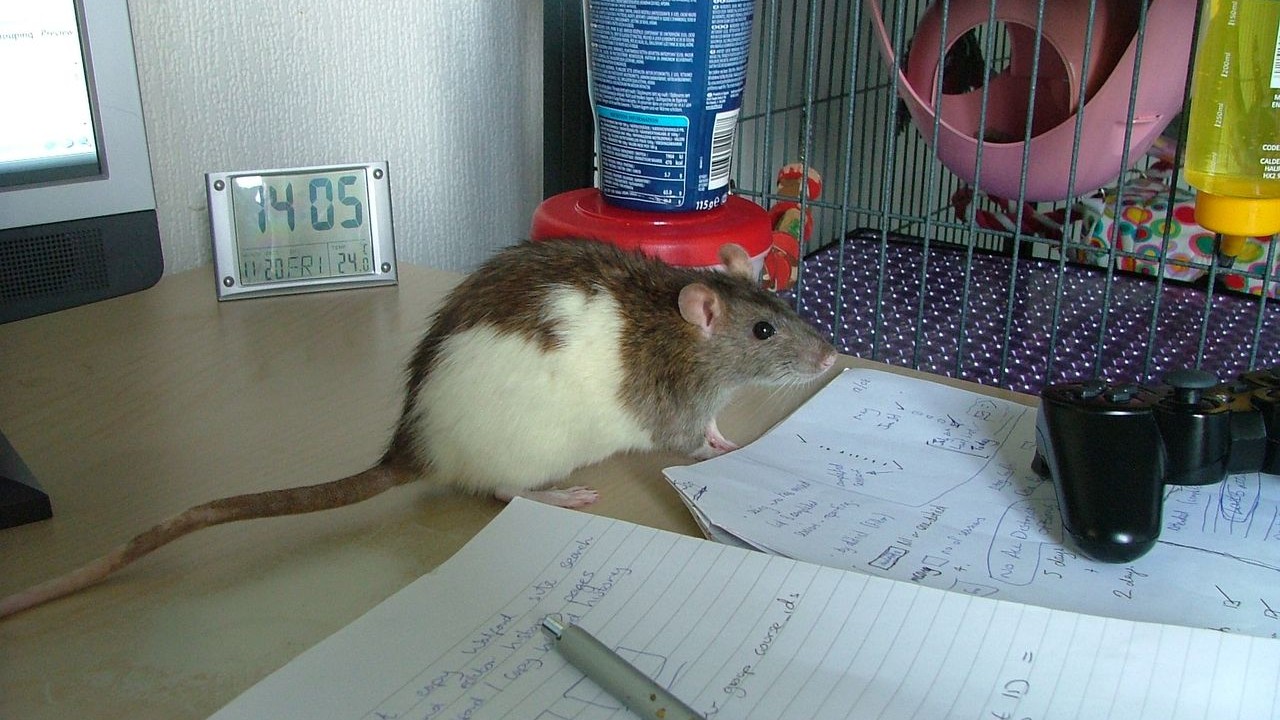 DSCF6624.JPG