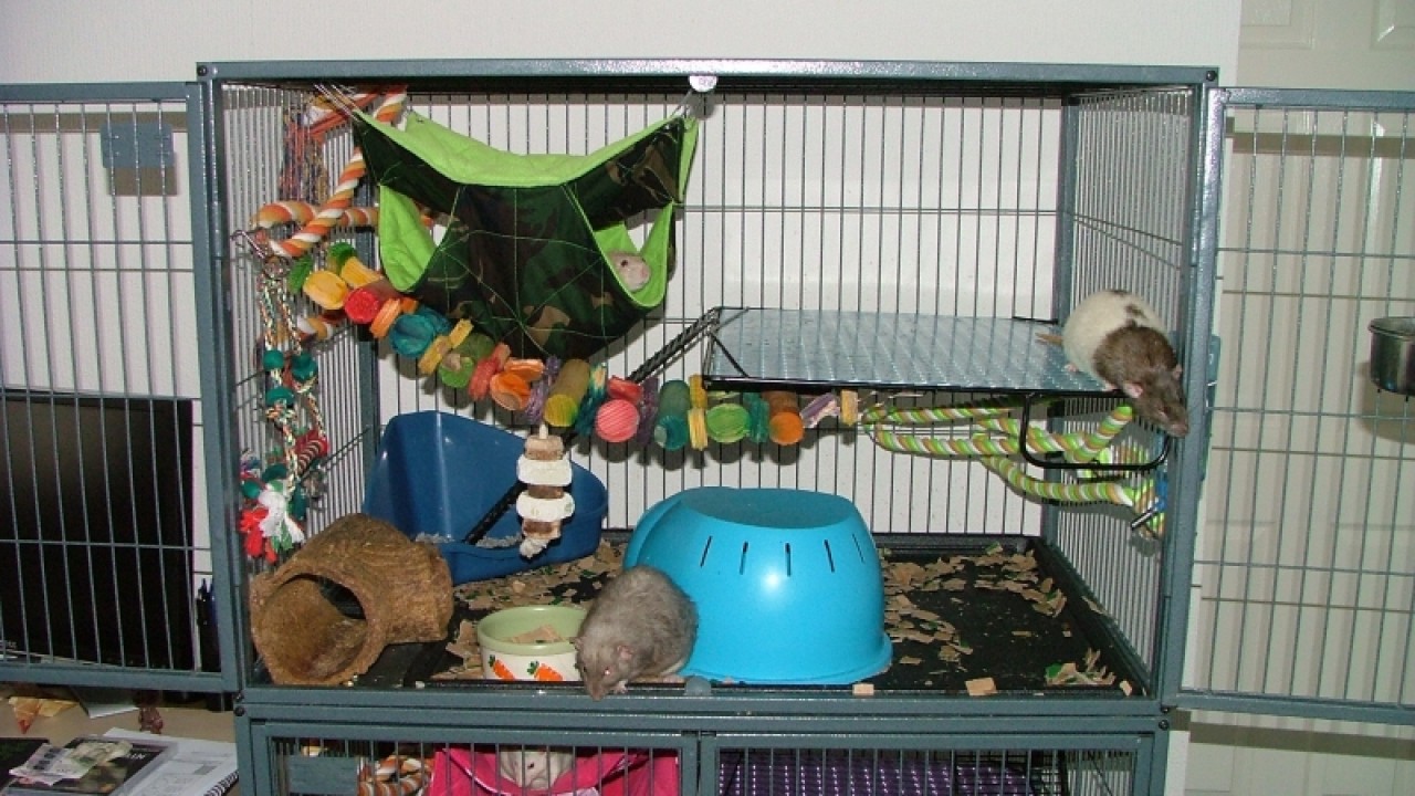 dscf6863.jpg