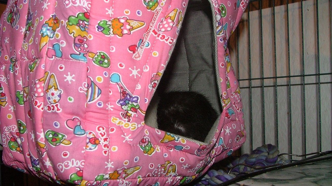DSCF5654.JPG