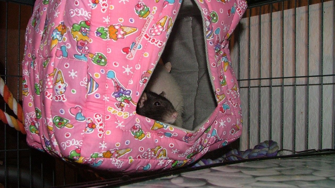 DSCF5648.JPG