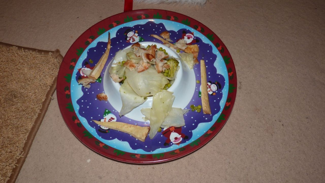 P1060046.JPG