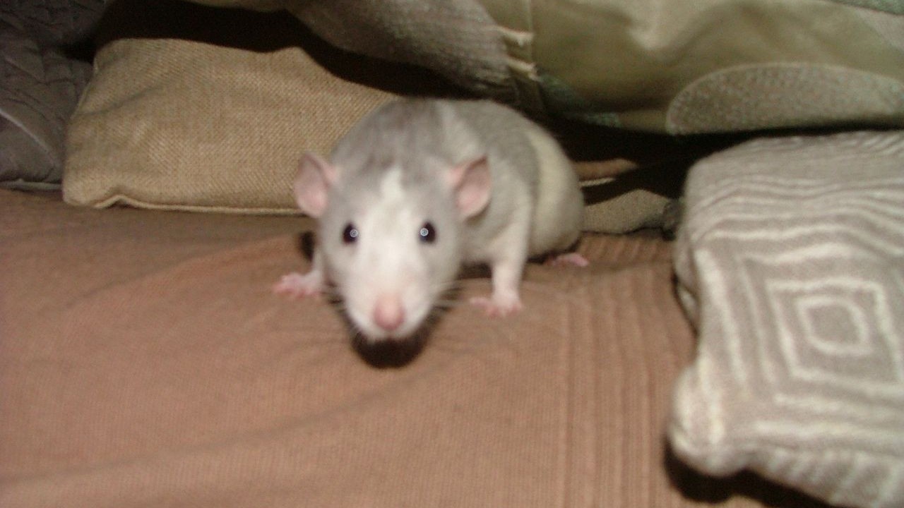 DSCF6768.JPG