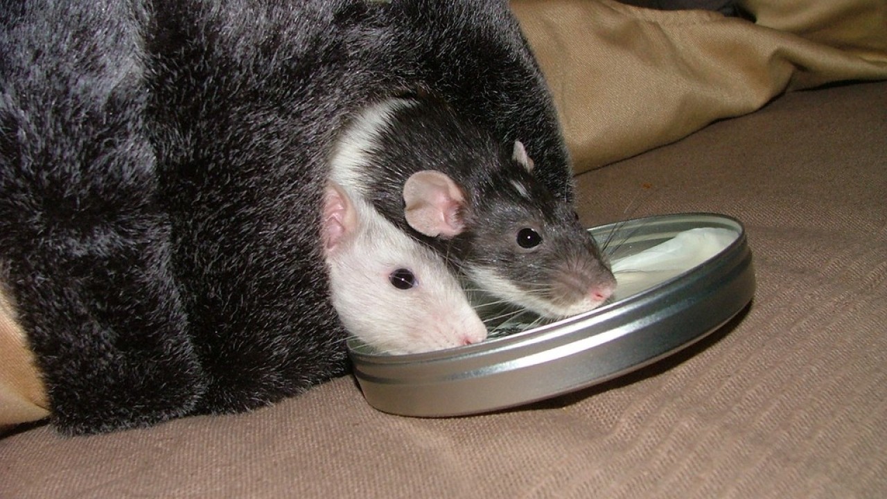 DSCF4748.JPG