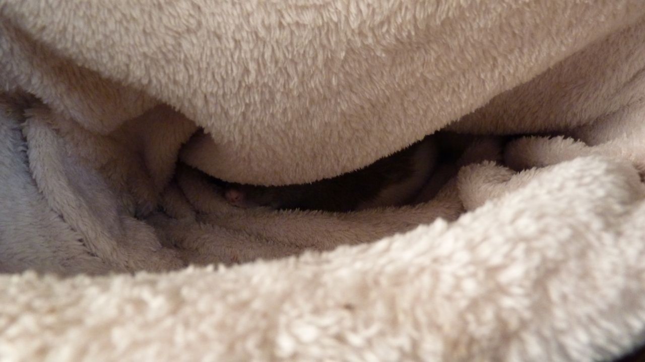 P1020459.JPG