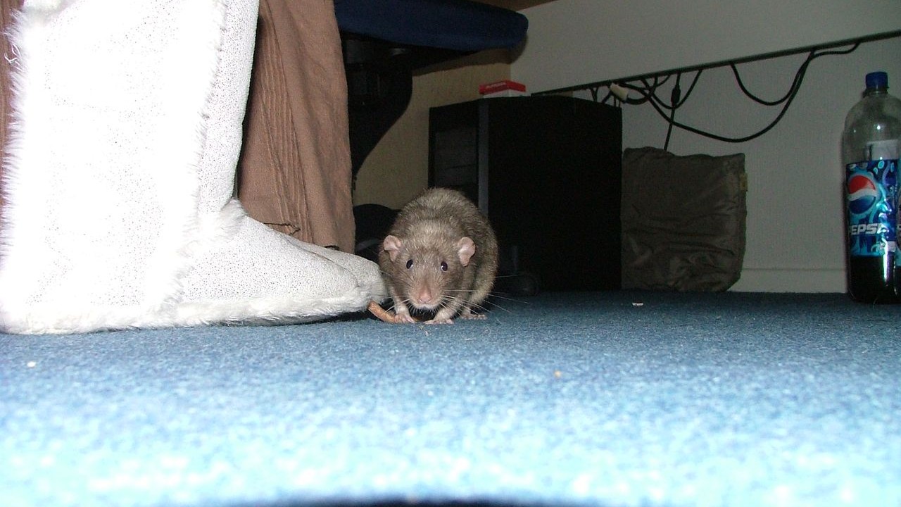 DSCF6673.JPG