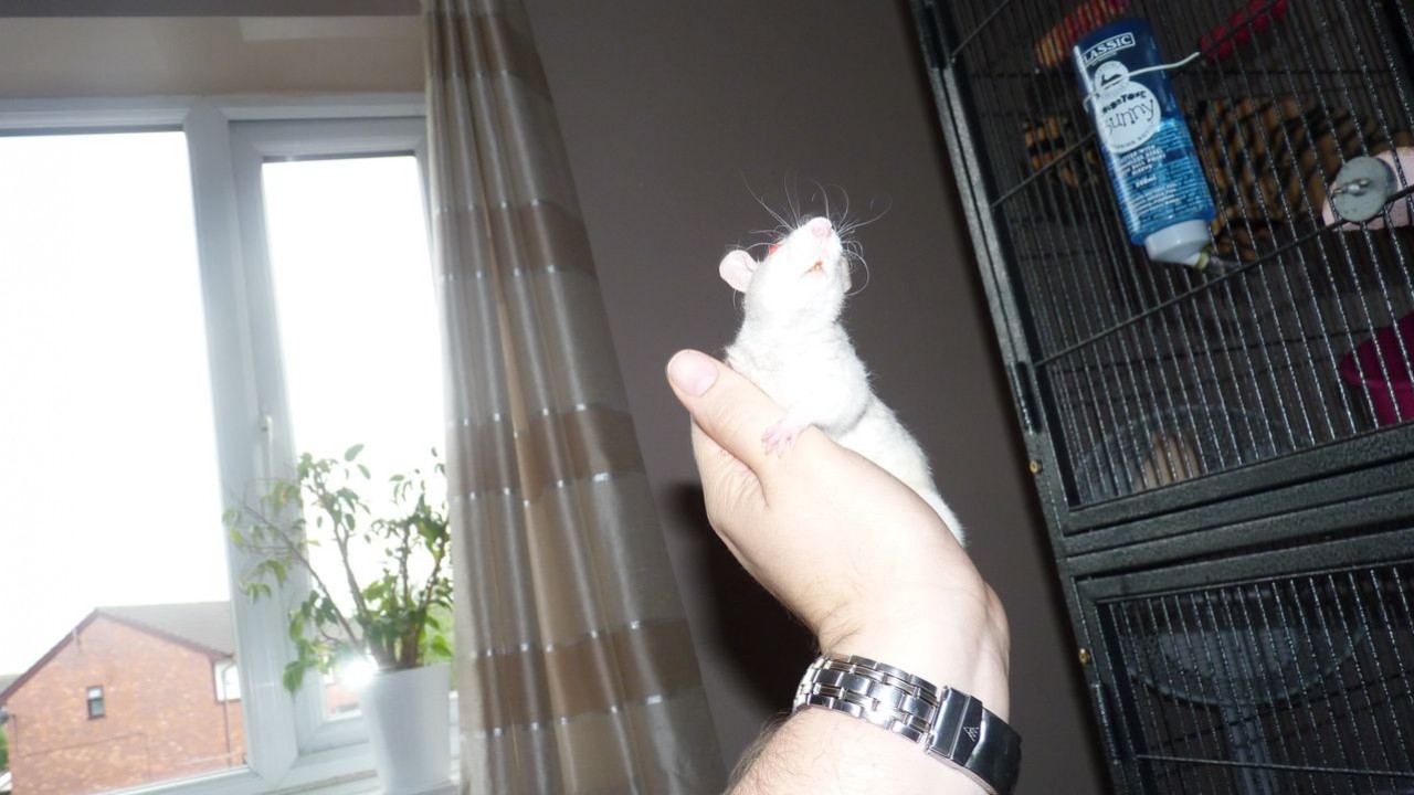P1050586.JPG