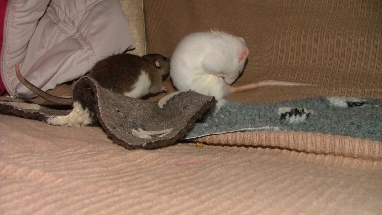 dscf6652.jpg