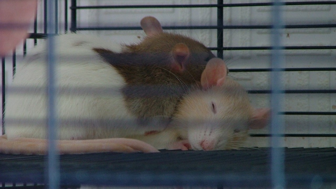 DSCF2142.JPG