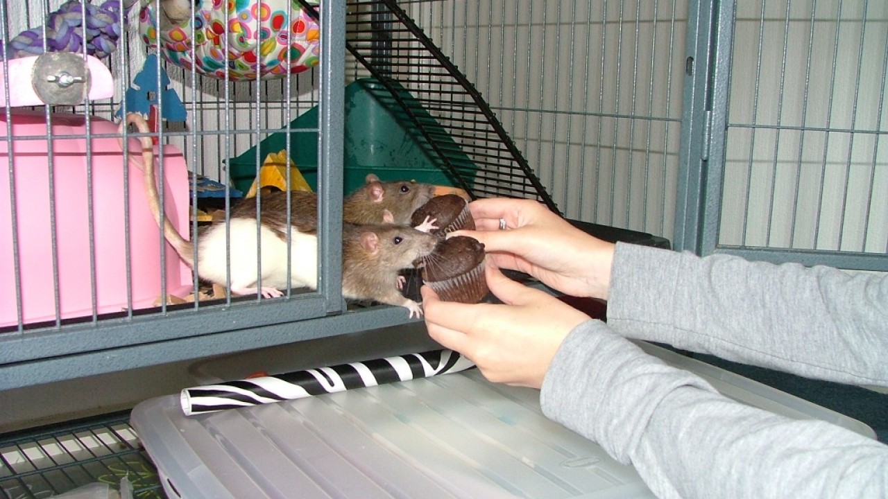 dscf6343.jpg