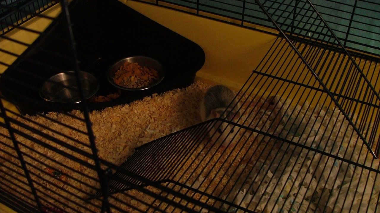 DSCF1527.JPG
