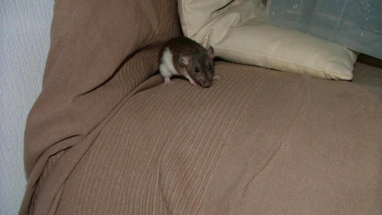 dscf6657.jpg