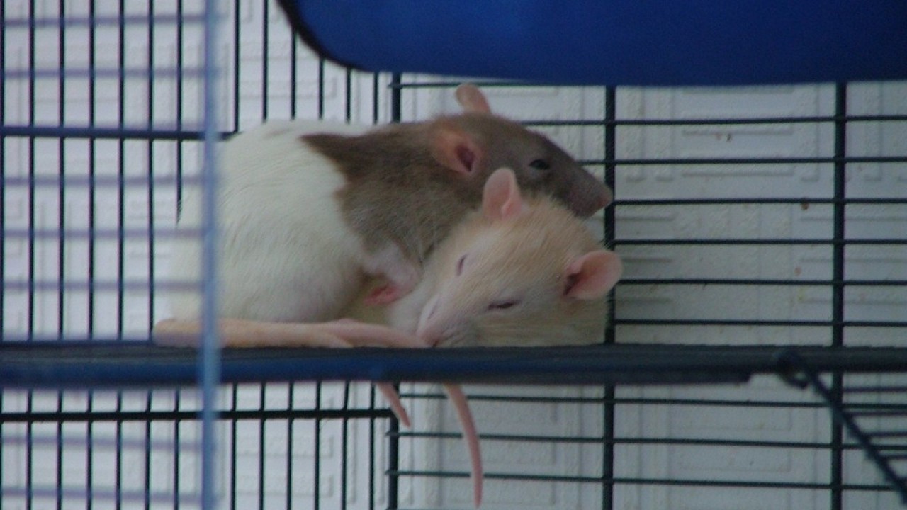 DSCF2144.JPG