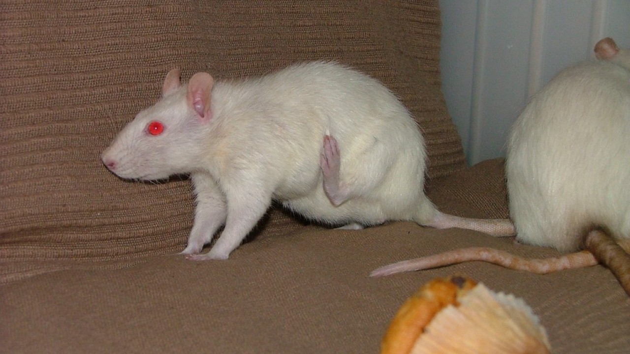 DSCF4743.JPG