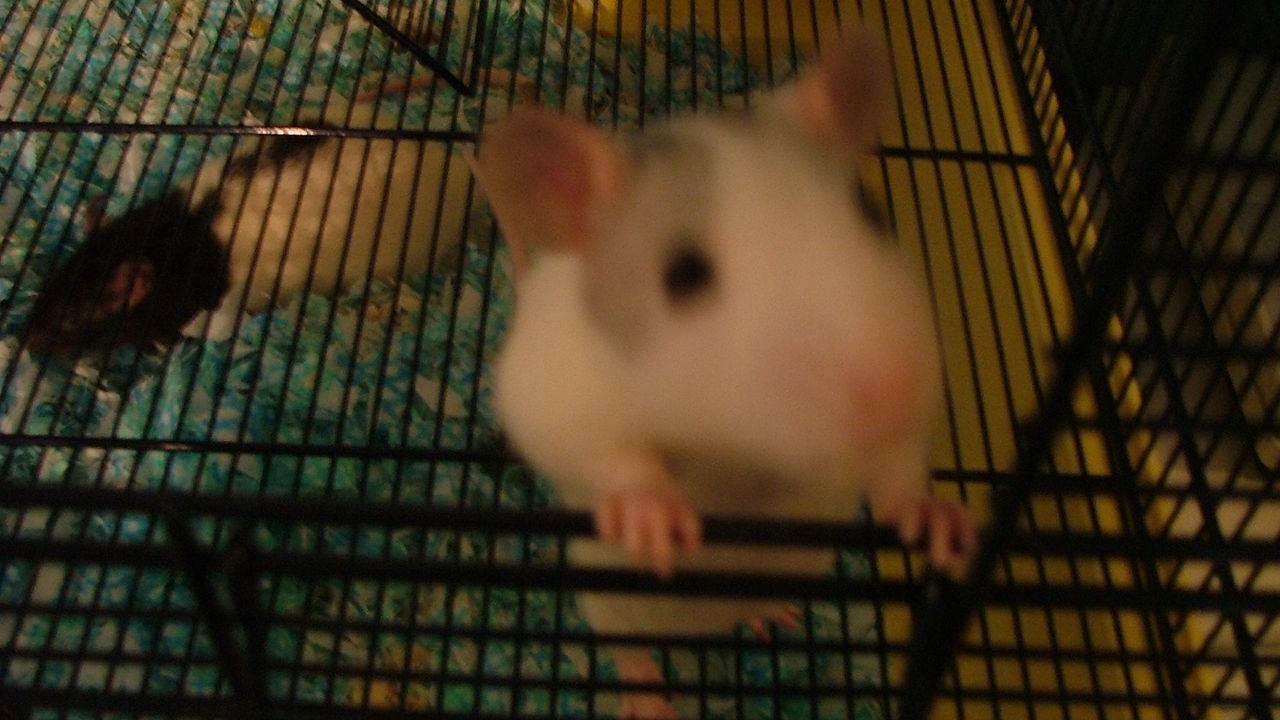 DSCF1511.JPG