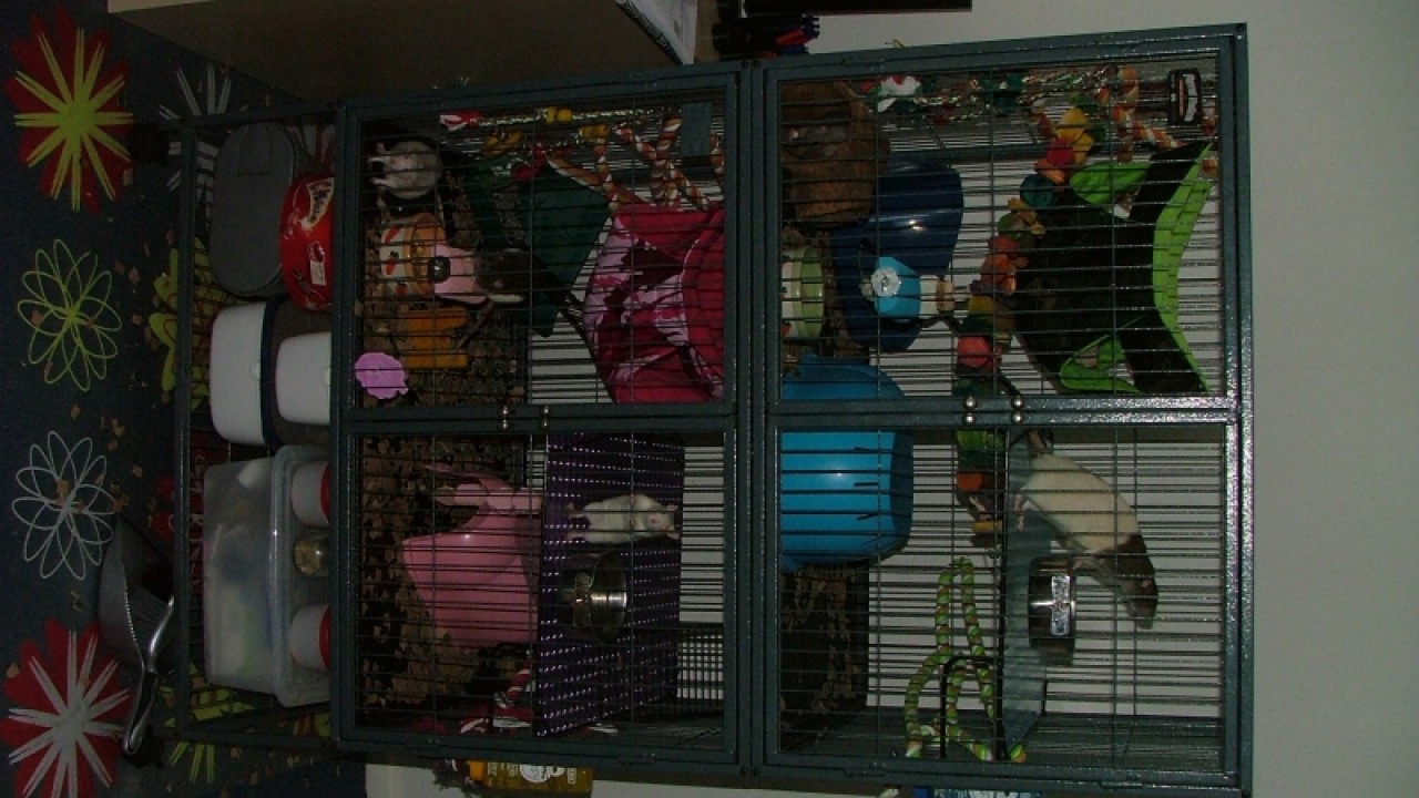 dscf6867.jpg