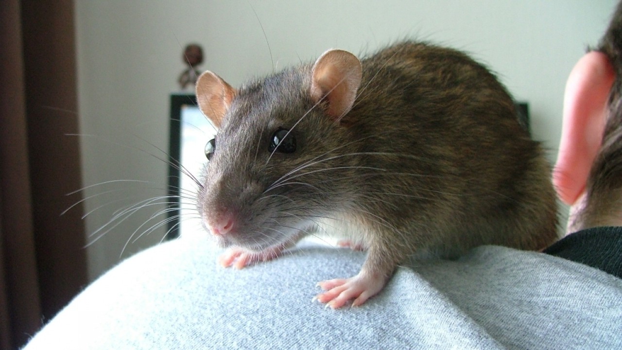 dscf6528_0.jpg