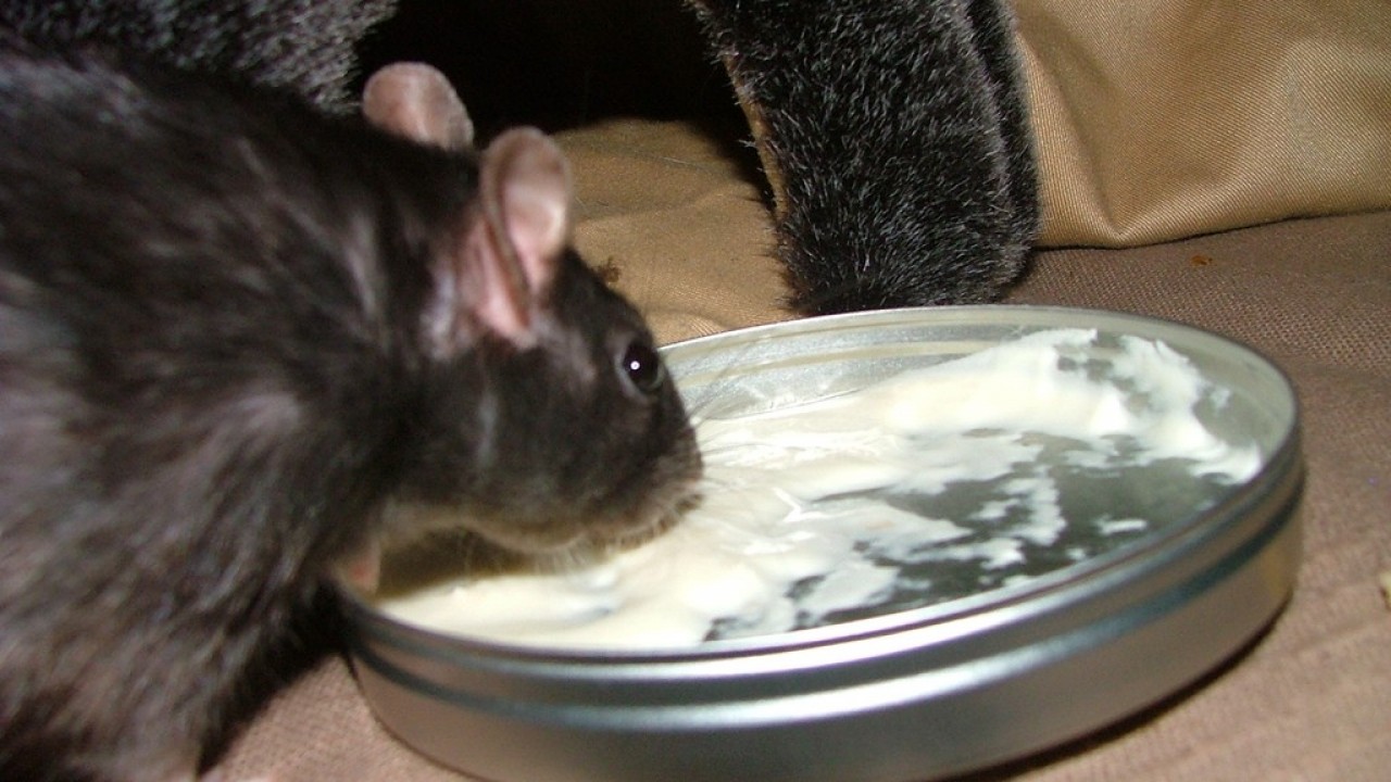 DSCF4753.JPG