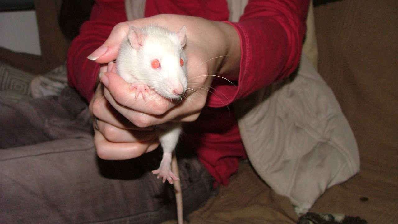 DSCF6636.JPG