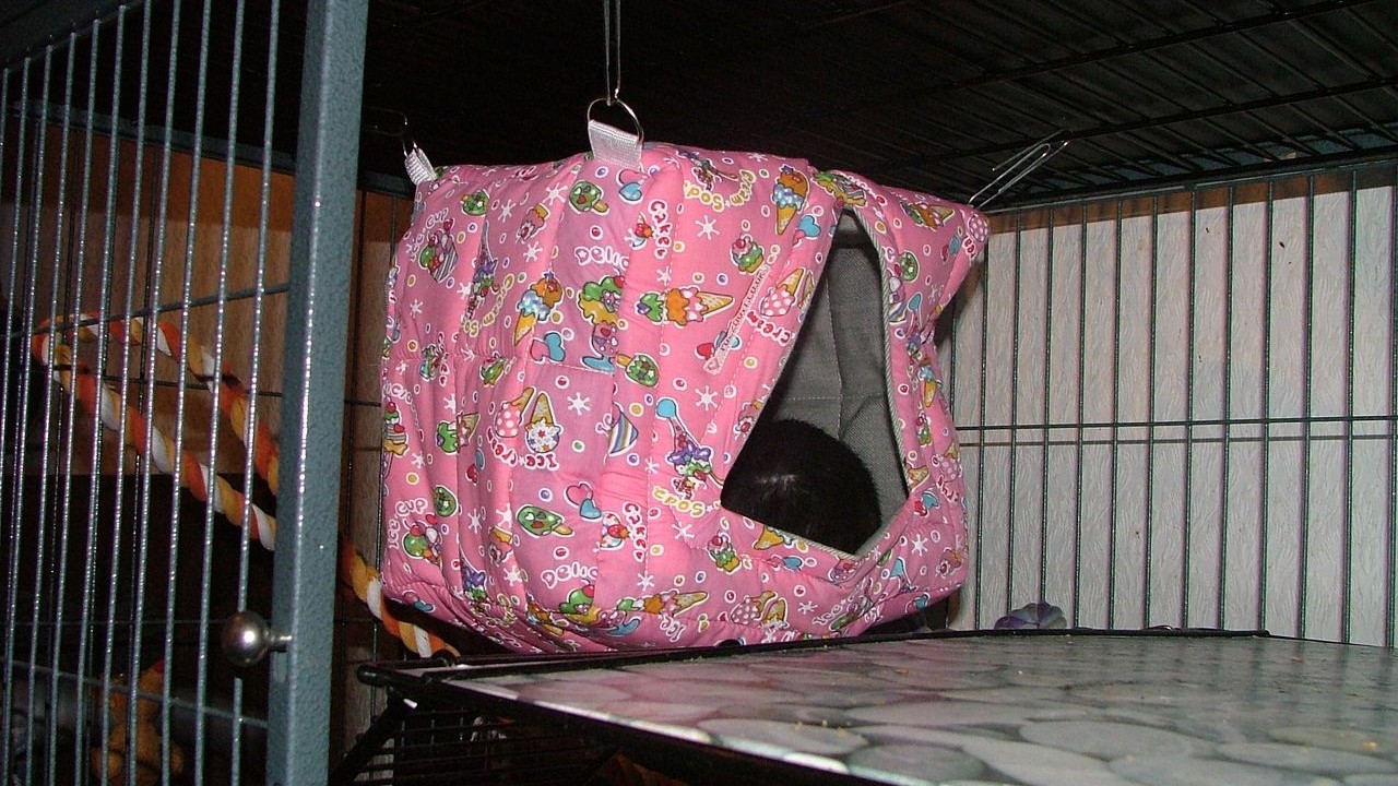 DSCF5650.JPG