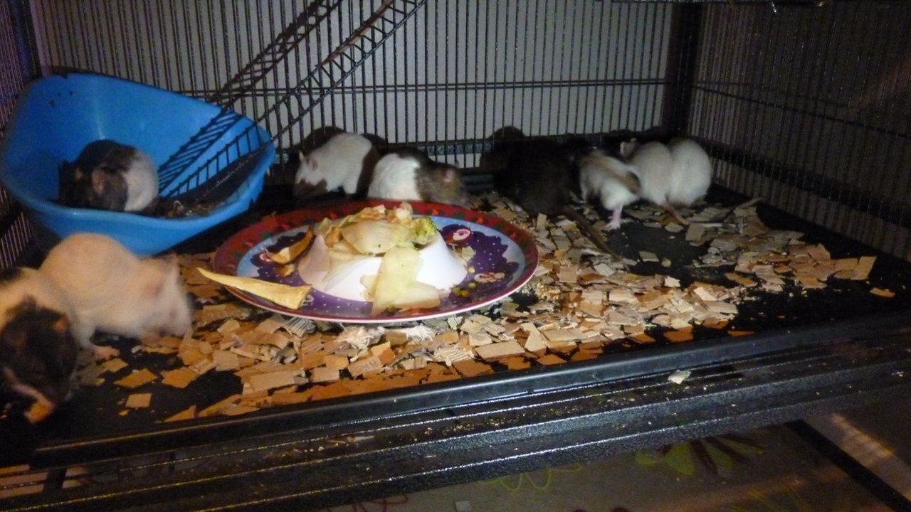 P1060055.JPG