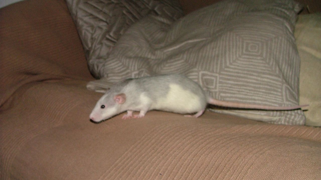 DSCF6763.JPG