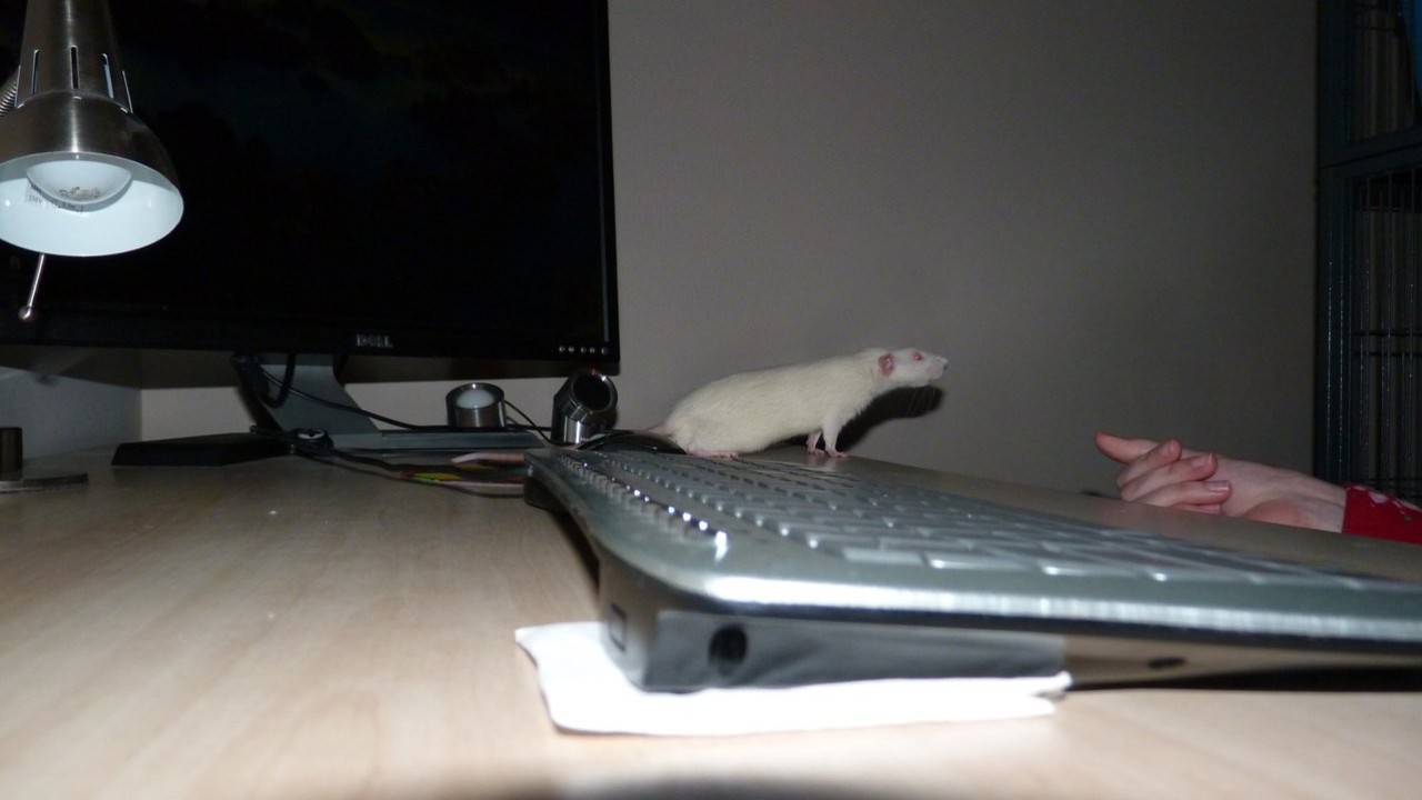 p1000886.jpg