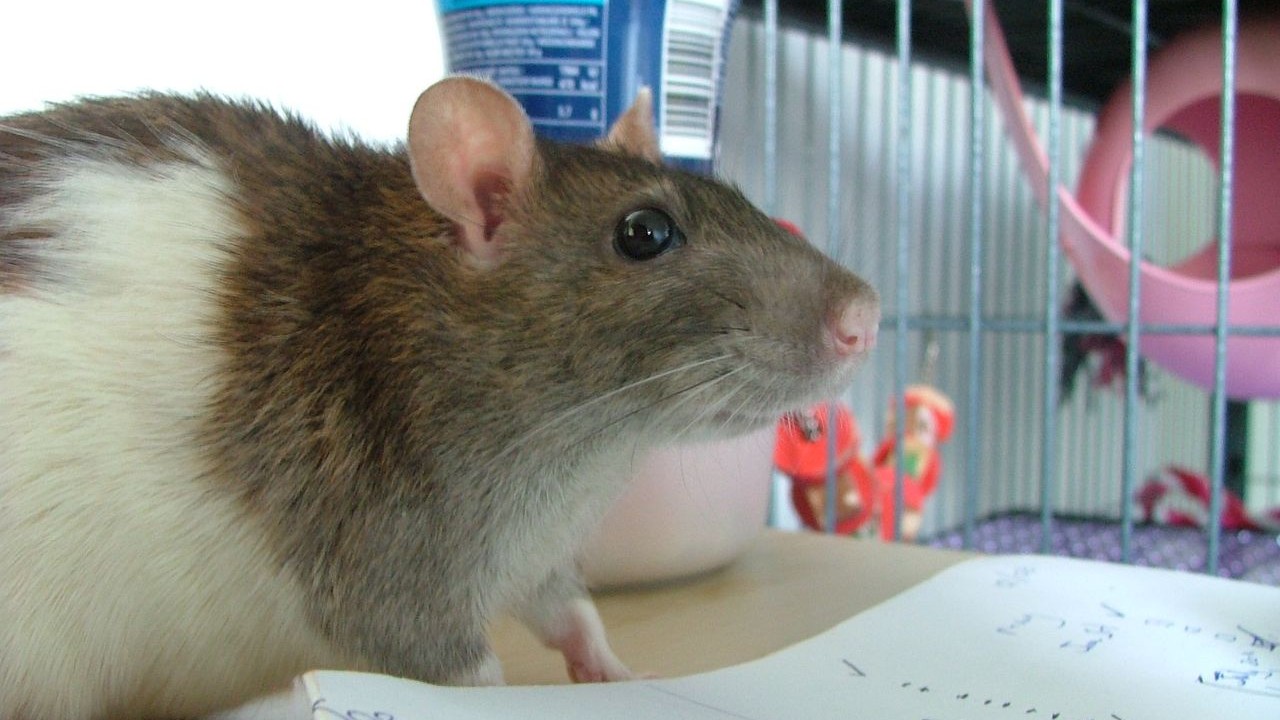 DSCF6625.JPG