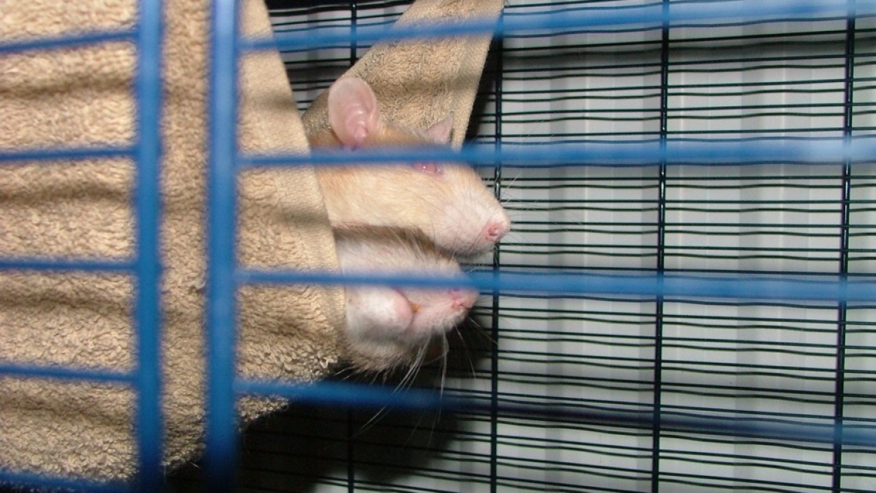 dscf3666.jpg