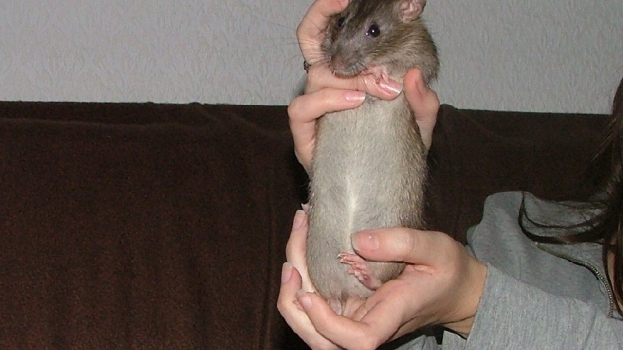 dscf5783.jpg