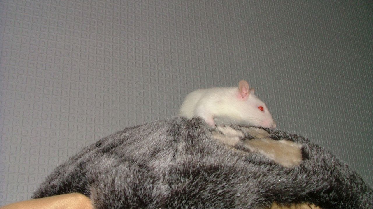 DSCF3935.JPG