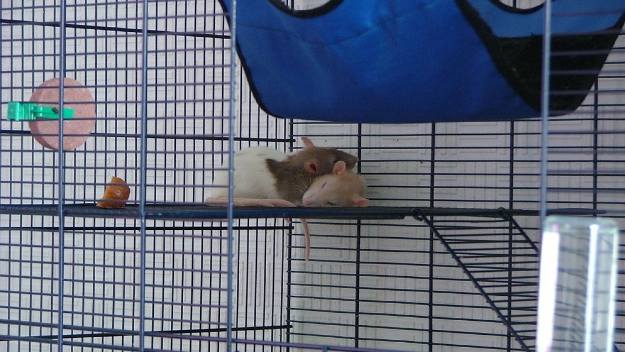 DSCF2147.JPG