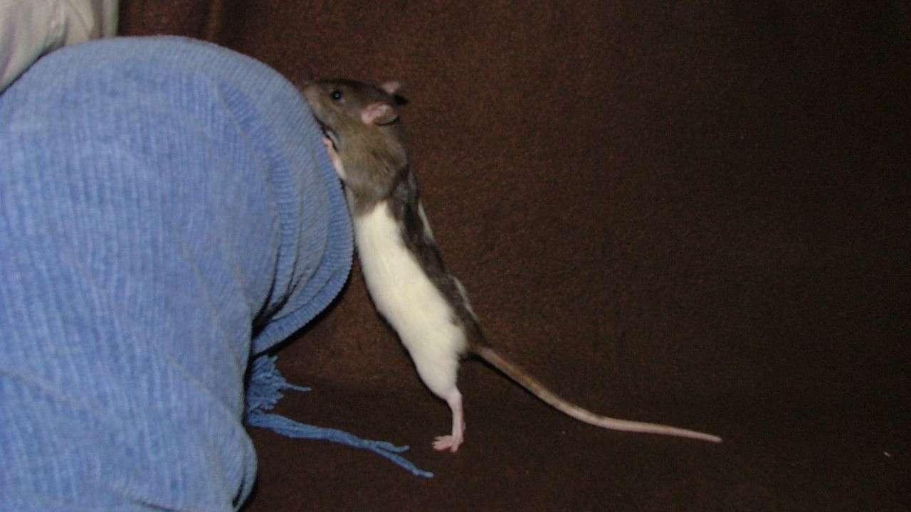DSCF5473.JPG