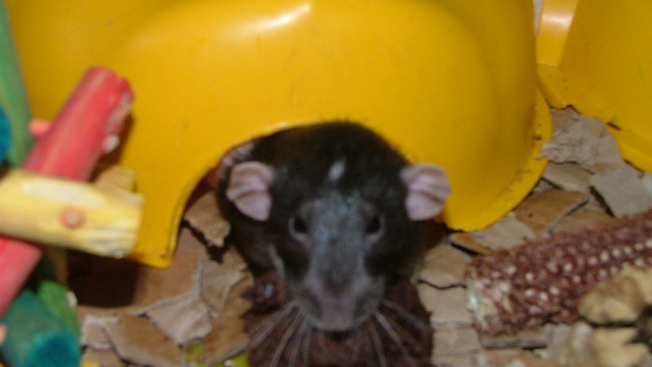 DSCF4265.JPG