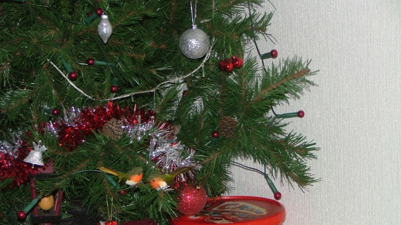 dscf6792.jpg