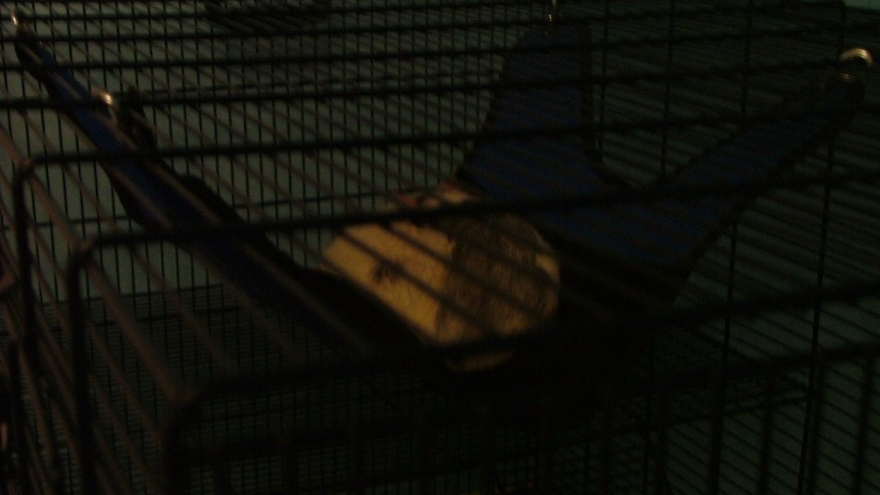 DSCF1517.JPG