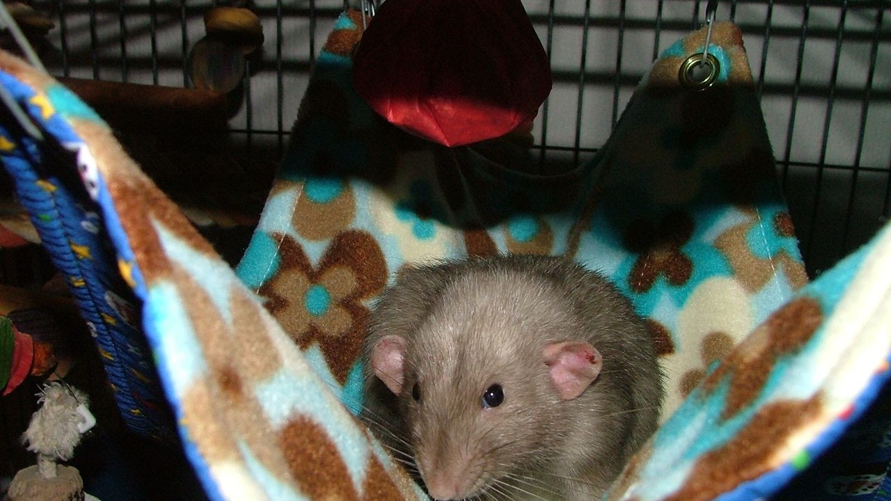 DSCF6739.JPG